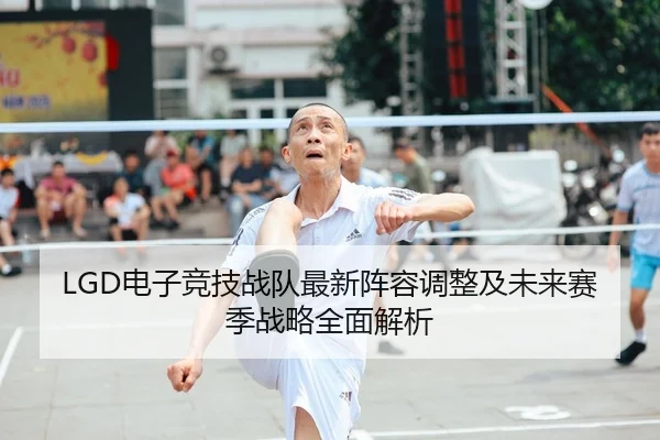 LGD电子竞技战队最新阵容调整及未来赛季战略全面解析 | YX SPORTS