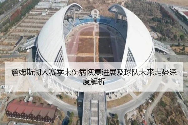 詹姆斯湖人赛季末伤病恢复进展及球队未来走势深度解析（YX SPORTS）